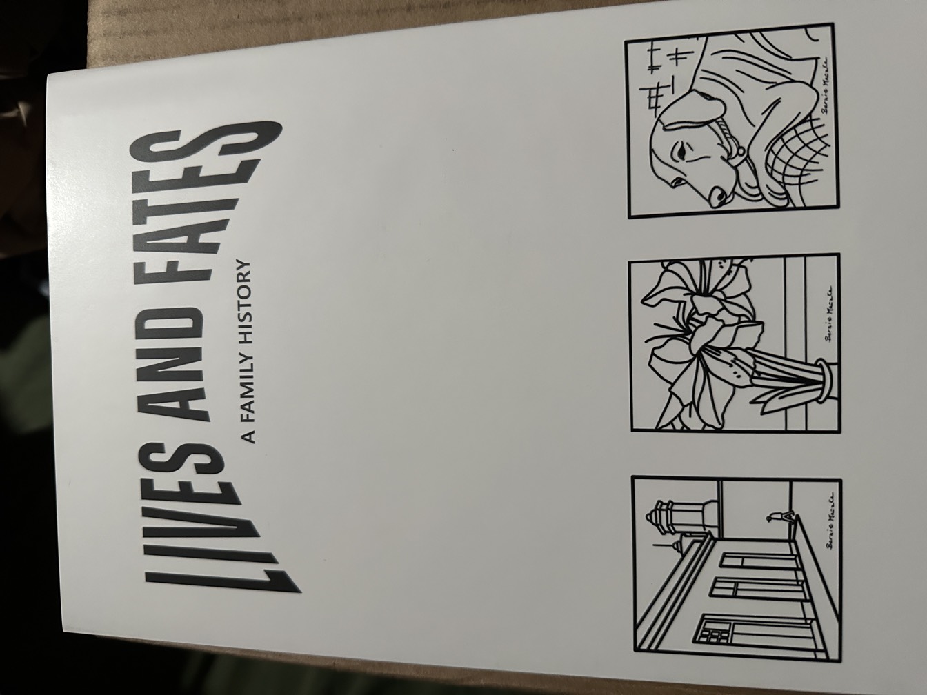 Lives and Fates back cover